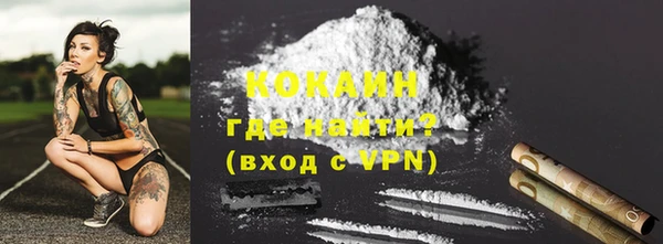 прущие грибы Абаза