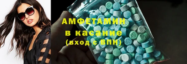 прущие грибы Абаза