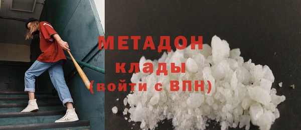 прущие грибы Абаза