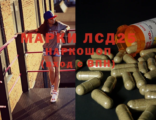 прущие грибы Абаза