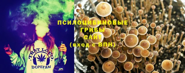 прущая мука Абинск