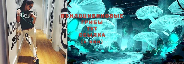 ПСИЛОЦИБИНОВЫЕ ГРИБЫ Дмитриев