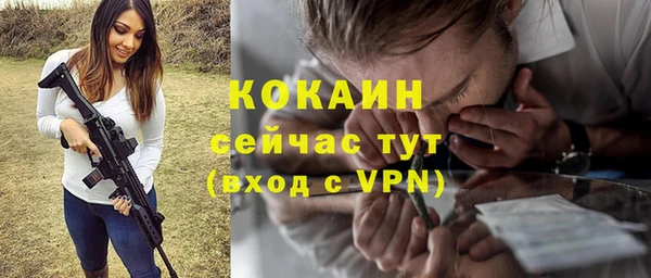 прущие грибы Абаза
