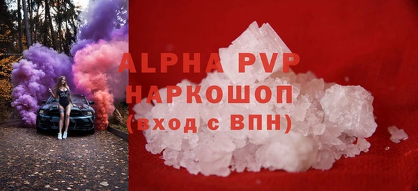 прущие грибы Абаза