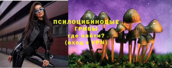 прущие грибы Абаза