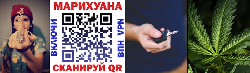 Каннабис план  Туринск 